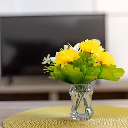 - Sibenik Riviera 36423 公寓